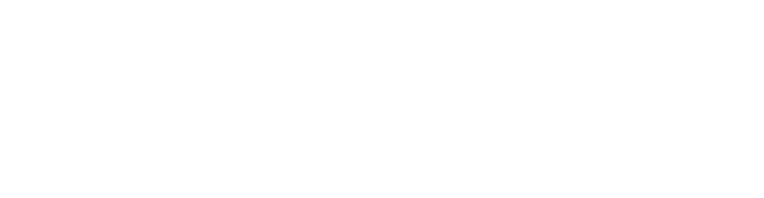 final-logo-white-no#