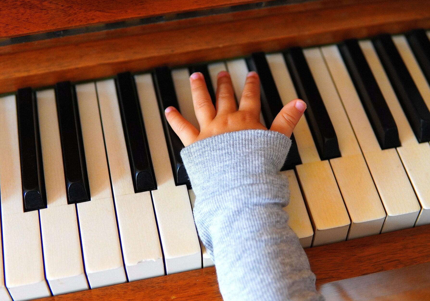 hand-4564379_1920 Image by Matthias Böckel from Pixabay