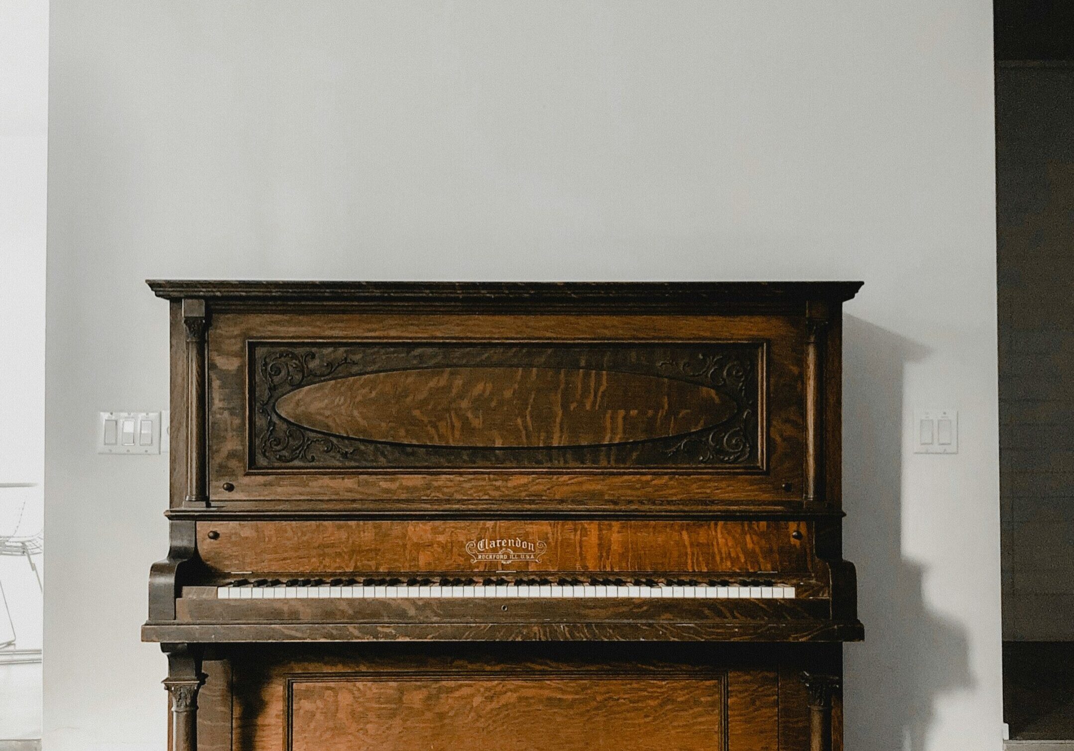 Photo by Tania Mirón on Unsplash